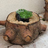 Samsung Galaxy Note10+ primjeri fotografija