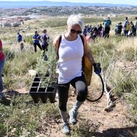 Boranka: Izviđači Zelene patrole Rajić s volonterima u pošumljavanju Mosora