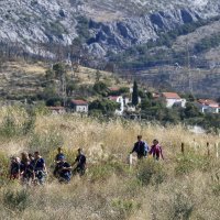 Boranka: Izviđači Zelene patrole Rajić s volonterima u pošumljavanju Mosora