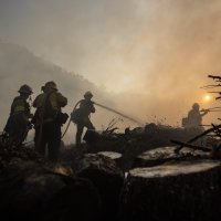 Požar u Kaliforniji