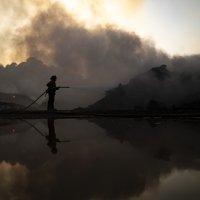 Požar u Kaliforniji