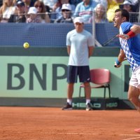 Hrvatski tenisač Mate Pavić