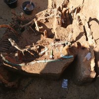 Arheološki nalaz rimskih kola nedaleko Vinkovaca