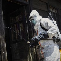 Ebola