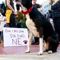 Ispred Županijskog suda u Splitu održan prosvjed "Pravda za djevojčice"