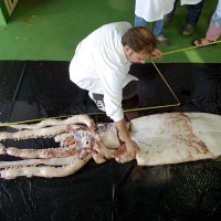 Miguel Riopa EPA EFE