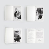 The Beauty Fools, izd. Foolosophy Media, 2015.