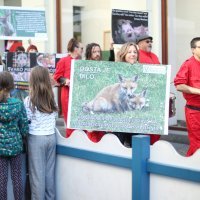 Prosvjed za zabranu lova