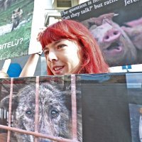 Prosvjed za zabranu lova