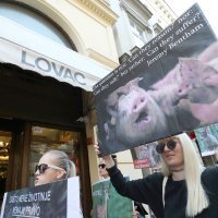 Prosvjed za zabranu lova