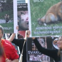 Prosvjed za zabranu lova