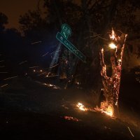 Požar u Kaliforniji