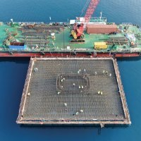 Radovi na Pelješkom mostu