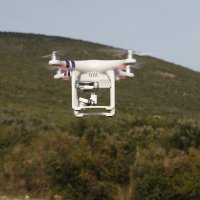 Bika Jerryja traže dronom