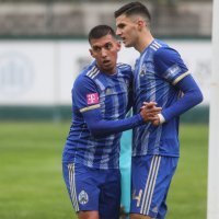 Vinogradar - Lokomotiva