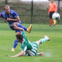 Vinogradar - Lokomotiva