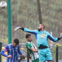 Vinogradar - Lokomotiva