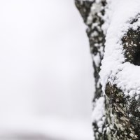 Snijeg na Medvednici