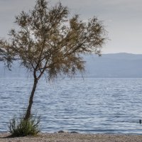 Kupači i šetači u studenom na splitskom Žnjanu