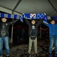 nk dinamo navijači