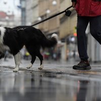 Kišno jutro u Zagrebu