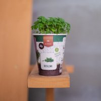 Pokloni po mjeri – Biljkoborci Čašica zemlje – DIY set sadnju, samoinicirani projekt