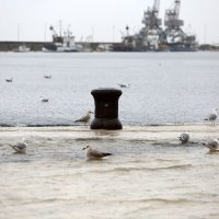 U Rijeci poplavljen centar grada, stanovnici se kreću u gumenim čizmama, bosi ili s daskom za veslanje