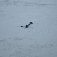 Sava se u Zagrebu izlila iz korita