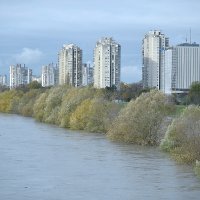 Sava se u Zagrebu izlila iz korita