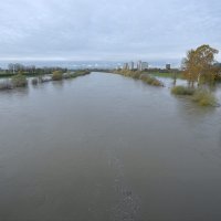 Sava se u Zagrebu izlila iz korita