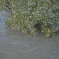 Sava se u Zagrebu izlila iz korita