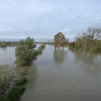 Sava se u Zagrebu izlila iz korita