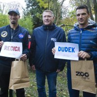 Crvene pande Dudek i Regica