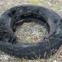 Na vidikovcu Papuk u blizini Požege zapalio se autobus koji je prevozio djecu