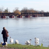 Visoki vodostaj Korane kod Karlovca