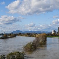 Sava se u Zagrebu izlila iz korita