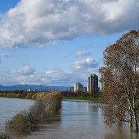 Sava se u Zagrebu izlila iz korita