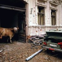 Krv i med: dnevnik balkanskog rata