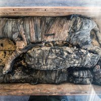 Pronađene mumificirane životinje u Sakari, drevnoj egipatskoj nekropoli blizu Kaira