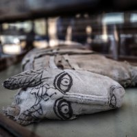 Pronađene mumificirane životinje u Sakari, drevnoj egipatskoj nekropoli blizu Kaira