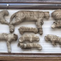 Pronađene mumificirane životinje u Sakari, drevnoj egipatskoj nekropoli blizu Kaira