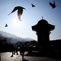 Potres, Sarajevo