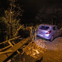 Pijavica poharala Rijeku