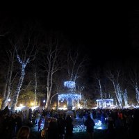 Zagreb: Paljenjem lampica na Zrinjevcu svečano otvoren Advent 2019.