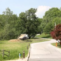 Park-šuma Pantovčak