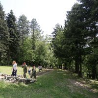 Park-šuma Pantovčak