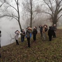 Promatranje prica na Bundeku