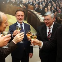 Furio Radin, Gordan Jandroković, Željko Reiner, Ivan Bukarica