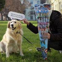 Počinje sezona pirotehnike, najstresnije razdoblje za kućne ljubimce