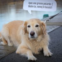 Počinje sezona pirotehnike, najstresnije razdoblje za kućne ljubimce